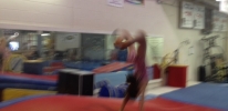 Thumbnail for Recreational Gymnastics